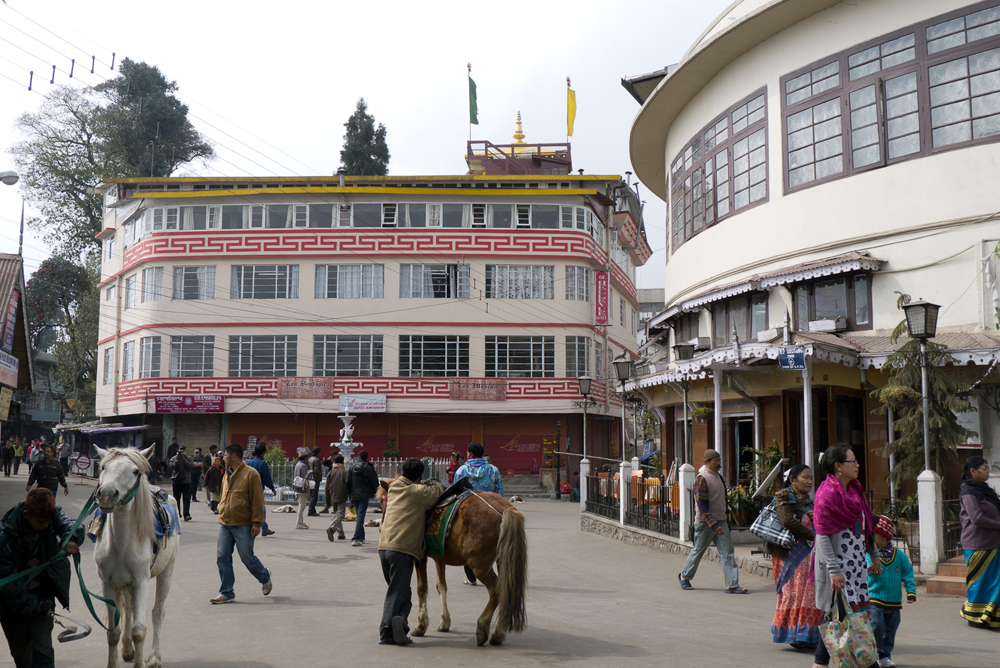 India_Darjeeling__14