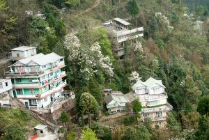 Sikkim_2_BLOG_18