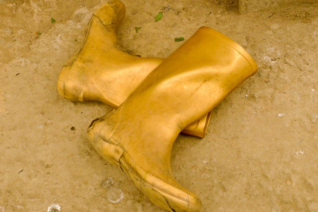 Gold Sikkimese boots