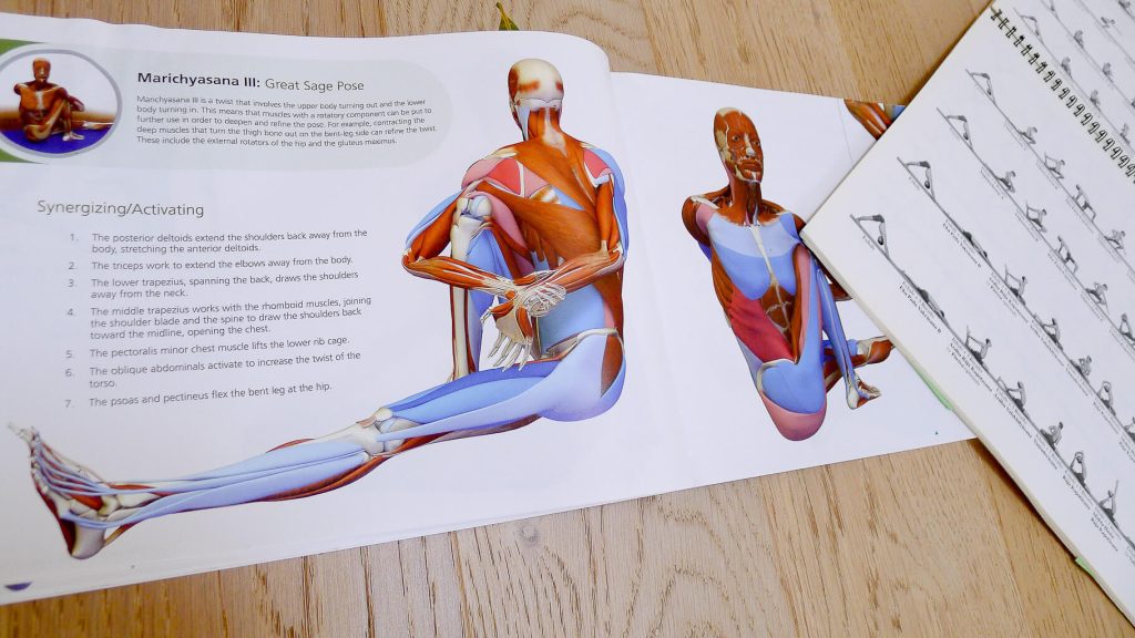 Yoga anatomy books and handouts form the Elton Yoga, Yoga Teacher Training.