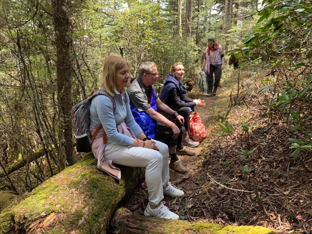 Elton Yoga students in contemplation on a forest hike in Bhutan.