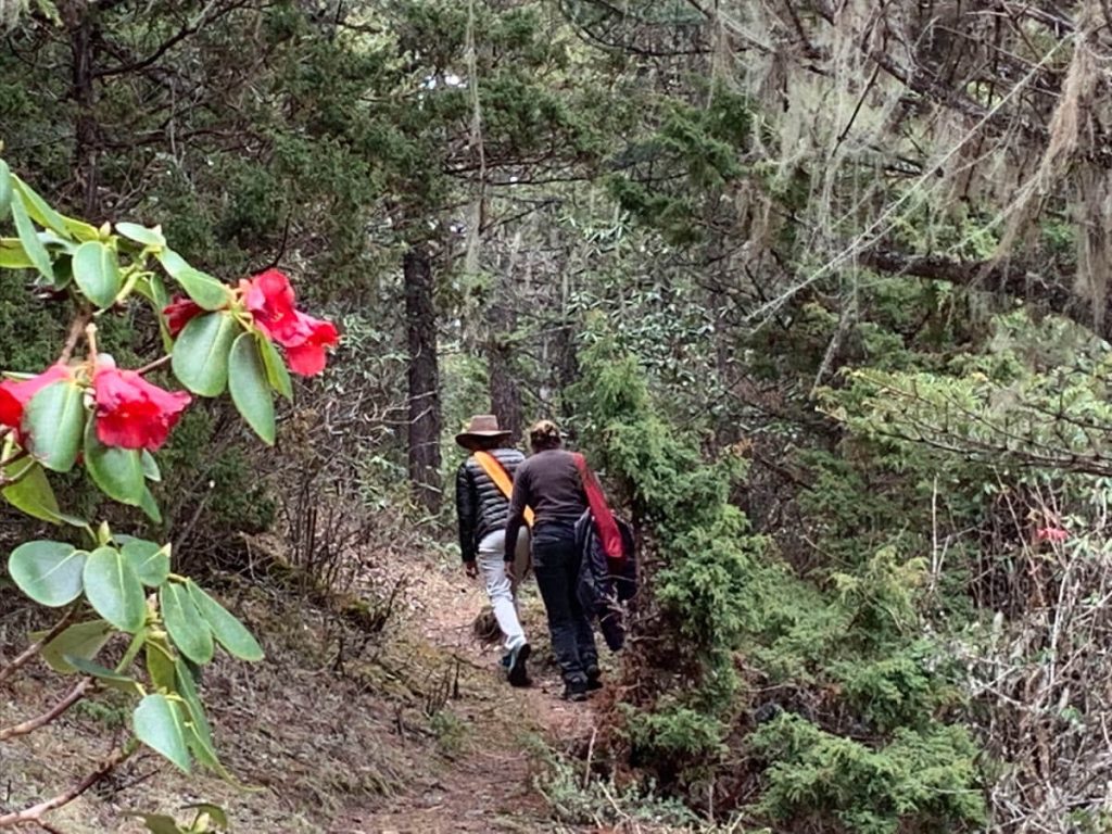 Elton Yoga students on a forest hike in Bhutan.