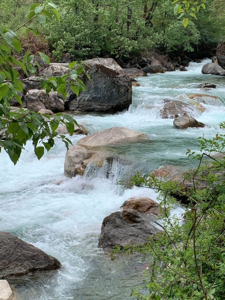 White waters in the Paro river.