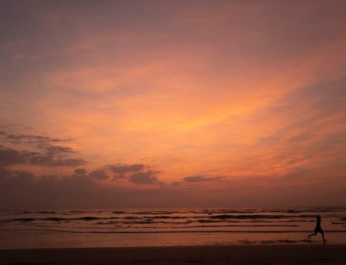 My Pandemic Life in India: Part 1 – Morjim Beach, Goa